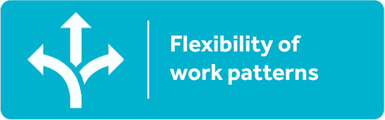 Flexibility of work patterns