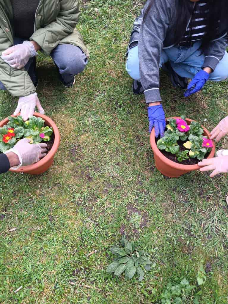 We went for a walk, stopped for some well-deserved ice lollies and ﬁnished the day
                planting primroses in the garden.