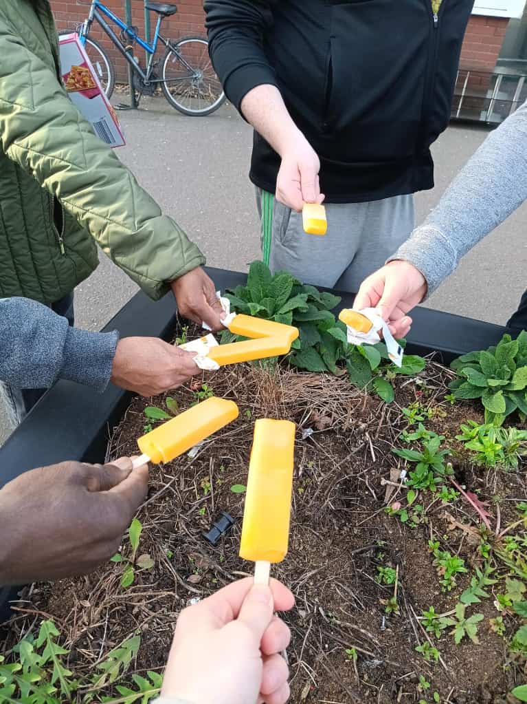 We went for a walk, stopped for some well-deserved ice lollies and ﬁnished the day
                planting primroses in the garden.