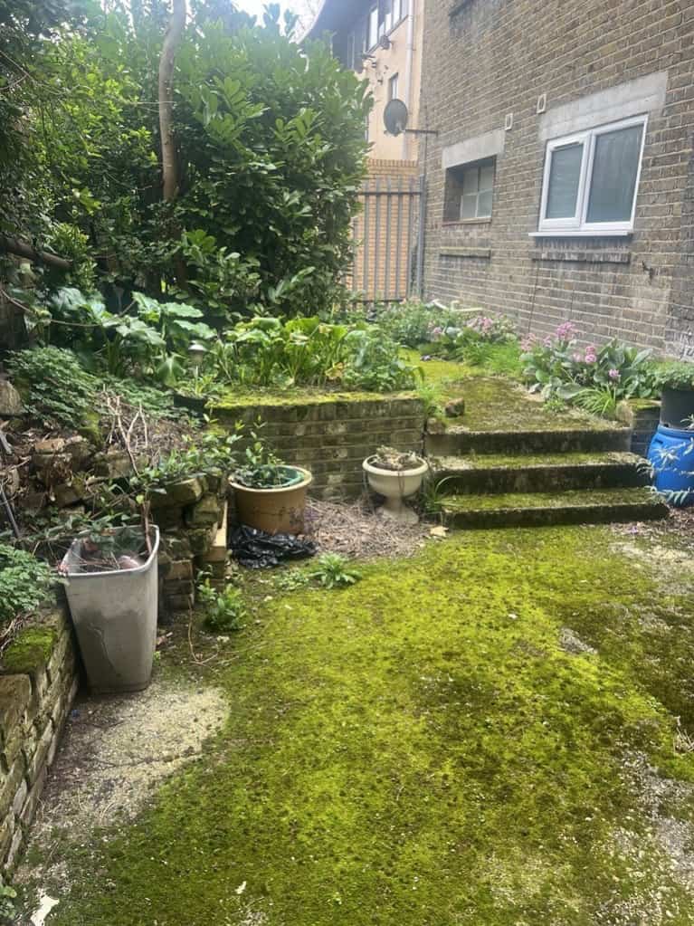 For Do Good Day the team at Ambrose House volunteered their time at a local church. The staﬀ noticed their garden had become overgrown which inspired them to reach out and oﬀer their help to tidy it up.