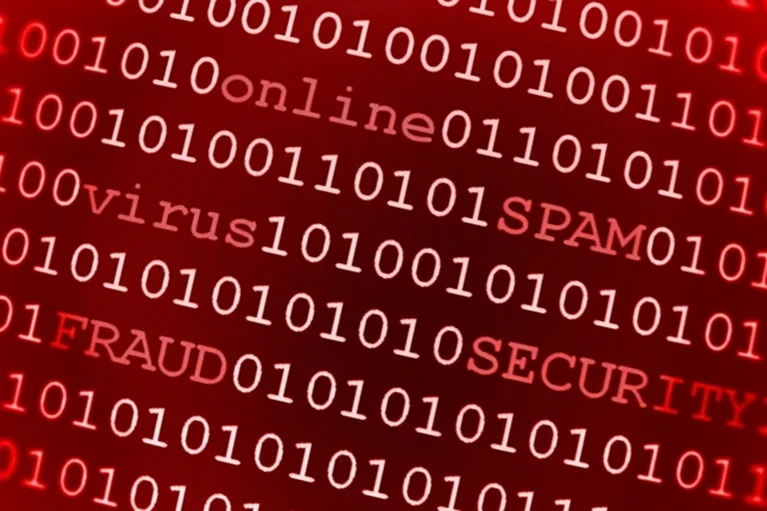 What fraud protection strategies are in place to
                        protect those with a learning disability